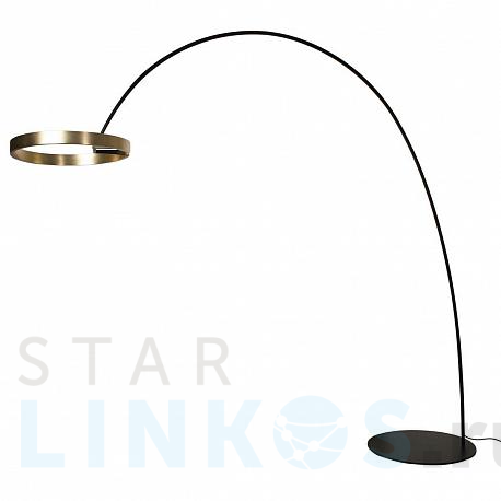 Купить Торшер Loft IT Ring 10027 за 94 120 руб. в Туле фото 2 Купить с доставкой Торшер Loft IT Ring 10027 в Туле фото 2