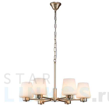 Купить Подвесная люстра Indigo Tulip 13004/6P Gold V000001 за 23 850 руб. в Туле фото 2 Купить с доставкой Подвесная люстра Indigo Tulip 13004/6P Gold V000001 в Туле фото 2