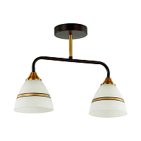 Купить Потолочная люстра Lumion Comfi Nettie 5214/2CA в Туле