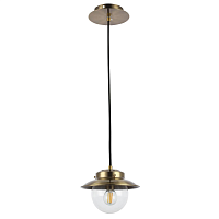 Купить Подвесной светильник Evoluce Garonni SLE110103-01 в Туле