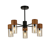 Купить Подвесная люстра F-Promo Torr 2633-5P в Туле