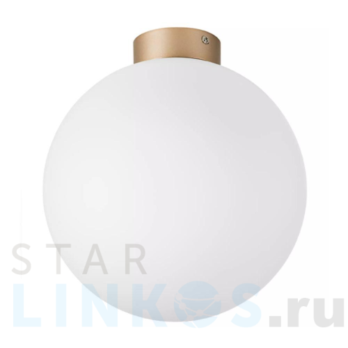 Купить с доставкой Настенно-потолочный светильник Lightstar Globo 812033 в Туле