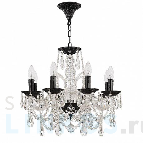 Купить Подвесная люстра Bohemia Ivele AL16311/8/160 BG за 41 067 руб. в Туле фото 2 Купить с доставкой Подвесная люстра Bohemia Ivele AL16311/8/160 BG в Туле фото 2