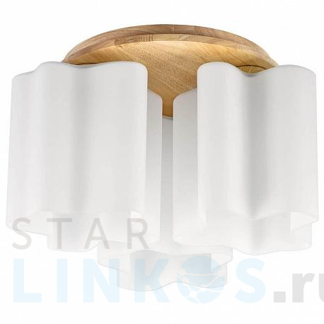 Купить Потолочная люстра Lightstar Nubi Legno 802035 за 30 935 руб. в Туле фото 2 Купить с доставкой Потолочная люстра Lightstar Nubi Legno 802035 в Туле фото 2