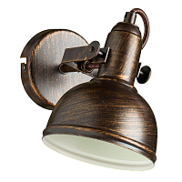Купить Спот Arte Lamp Martin A5213AP-1BR в Туле