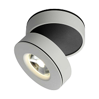 Купить Потолочный светодиодный светильник Omnilux Borgetto OML-101909-12 в Туле