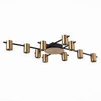 Купить Потолочная люстра ST Luce Veroli SL1207.402.10 в Туле