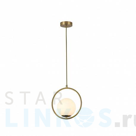 Купить Подвесной светильник F-Promo Oportet 2788-1P за 5 000 руб. в Туле фото 2 Купить с доставкой Подвесной светильник F-Promo Oportet 2788-1P в Туле фото 2