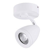 Купить Спот Azzardo Albico 1 AZ1240 в Туле