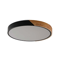 Купить Потолочный светильник Zortes ALBERRO ZRS.01287.48 в Туле