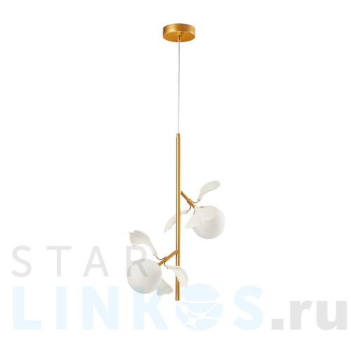 Купить Подвесной светильник Kink Light Аста 07867-2A,33 за 8 900 руб. в Туле Купить с доставкой Подвесной светильник Kink Light Аста 07867-2A,33 в Туле