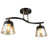 Купить Потолочный светильник IMEX MD.3772-2-S BK+FGD в Туле