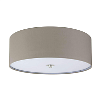 Купить Потолочный светильник Eglo Pasteri 94919 в Туле