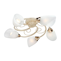 Купить Потолочная люстра Vitaluce V3663/5PL в Туле