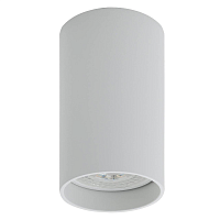 Купить Потолочный светильник Denkirs DK2008-WH в Туле