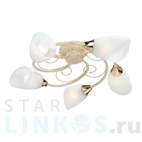 Купить Потолочная люстра Vitaluce V3663/5PL за 7 150 руб. в Туле Купить с доставкой Потолочная люстра Vitaluce V3663/5PL в Туле