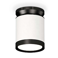 Купить Комплект накладного светильника Ambrella light Techno Spot XS (N8902, C8141, N8113) XS8141020 в Туле