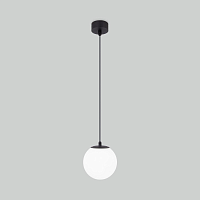 Купить Уличный подвесной светильник Elektrostandard Sfera 35158/H черный 4690389187902 в Туле