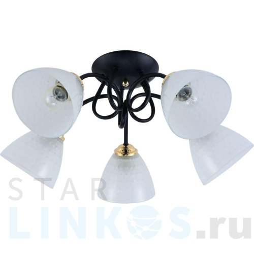 Купить Потолочная люстра Rivoli Luiza 9140-305 Б0054904 за 5 660 руб. в Туле Купить с доставкой Потолочная люстра Rivoli Luiza 9140-305 Б0054904 в Туле