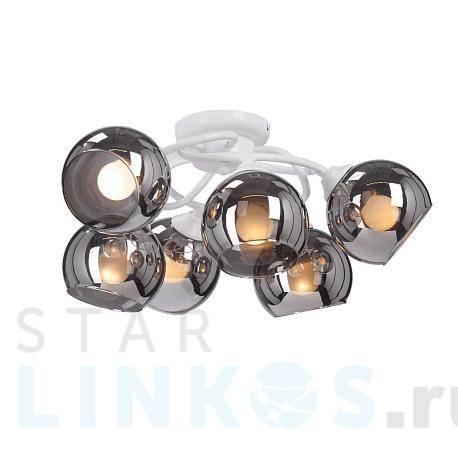 Купить Потолочная люстра Vitaluce V3959-0/6PL за 11 755 руб. в Туле фото 2 Купить с доставкой Потолочная люстра Vitaluce V3959-0/6PL в Туле фото 2