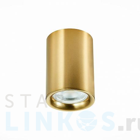 Купить Потолочный светильник ST Luce ST114.207.01 за 1 150 руб. в Туле фото 2 Купить с доставкой Потолочный светильник ST Luce ST114.207.01 в Туле фото 2