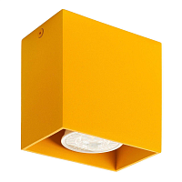 Купить Потолочный светильник Denkirs DK2027-YE в Туле