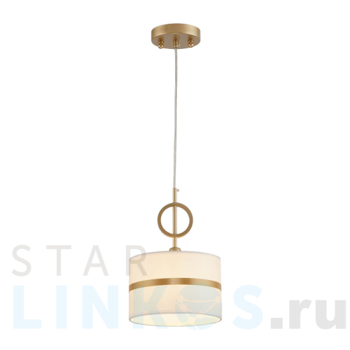 Купить Подвесной светильник Favourite Mateo 2634-1P за 4 900 руб. в Туле Купить с доставкой Подвесной светильник Favourite Mateo 2634-1P в Туле