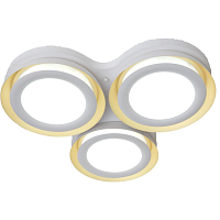 Купить Потолочный светодиодный светильник Adilux 1017 в Туле