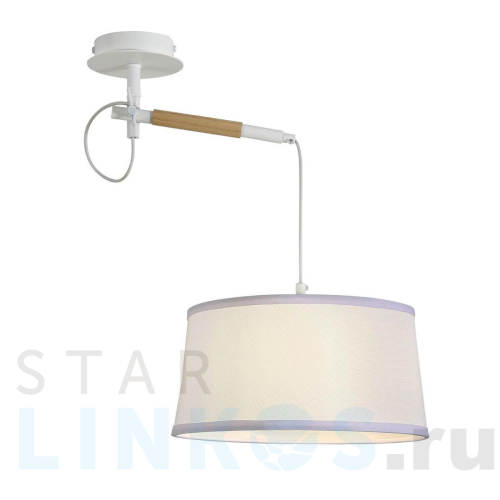 Купить Подвесной светильник F-Promo Eureka 3005-1P за 8 700 руб. в Туле Купить с доставкой Подвесной светильник F-Promo Eureka 3005-1P в Туле