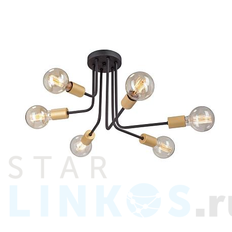 Купить Потолочная люстра Vitaluce V4957-1/6PL за 5 681 руб. в Туле фото 2 Купить с доставкой Потолочная люстра Vitaluce V4957-1/6PL в Туле фото 2