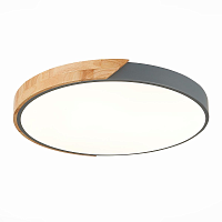 Купить Потолочный светодиодный светильник Evoluce Festa SLE200972-01 в Туле