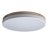 Купить Потолочный светодиодный светильник Loft IT Axel 10001/36 white в Туле