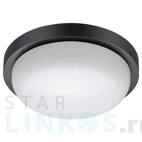 Купить Уличный светодиодный светильник Novotech Street Opal 358017 за 3 180 руб. в Туле фото 2 Купить с доставкой Уличный светодиодный светильник Novotech Street Opal 358017 в Туле фото 2