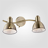 Купить Спот Eurosvet 20052/2 античная бронза в Туле