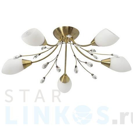 Купить Потолочная люстра MW-Light 356012905 за 14 250 руб. в Туле фото 2 Купить с доставкой Потолочная люстра MW-Light 356012905 в Туле фото 2