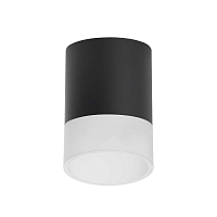 Купить Потолочный светильник Lightstar Rullo (213487+202481) R348781 в Туле