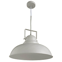 Купить Подвесной светильник Arte Lamp Martin A5213SP-1WG в Туле
