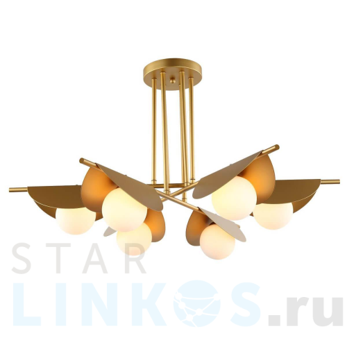 Купить Потолочная люстра Favourite Kernel 2366-6P за 27 300 руб. в Туле Купить с доставкой Потолочная люстра Favourite Kernel 2366-6P в Туле