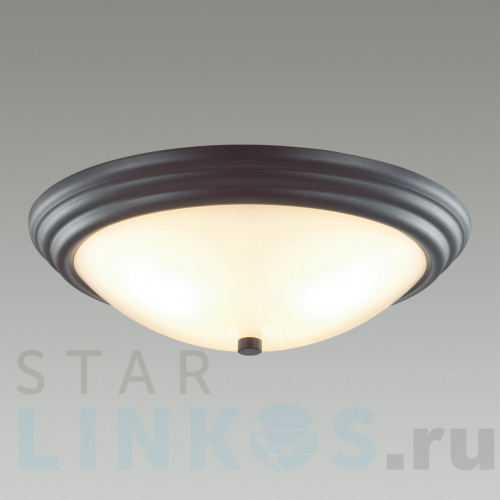 Купить Настенно-потолочный светильник Lumion Vintage Kayla 5263/3C за 2 700 руб. в Туле фото 2 Купить с доставкой Настенно-потолочный светильник Lumion Vintage Kayla 5263/3C в Туле фото 2