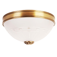 Купить Потолочный светильник Abrasax MD25314/2 в Туле