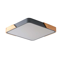 Купить Потолочный светильник Zortes ALBERRO ZRS.01288.60 в Туле