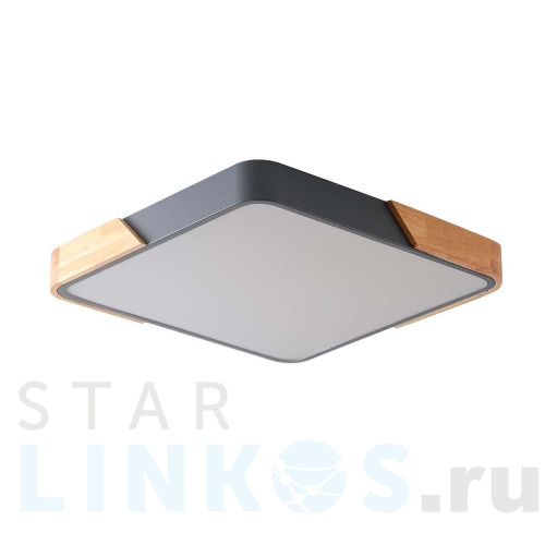 Купить Потолочный светильник Zortes ALBERRO ZRS.01288.60 за 16 750 руб. в Туле Купить с доставкой Потолочный светильник Zortes ALBERRO ZRS.01288.60 в Туле