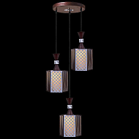 Купить Подвесной светильник Reluce 03023-0.4-03 ZH в Туле