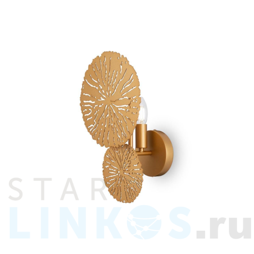 Купить Настенный светильник Maytoni Lovetann MOD082WL-01G за 8 190 руб. в Туле Купить с доставкой Настенный светильник Maytoni Lovetann MOD082WL-01G в Туле