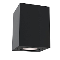 Купить Потолочный светильник Maytoni Alfa C017CL-01B в Туле