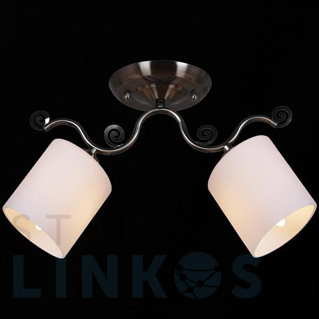 Купить Потолочный светильник Reluce 31412-0.3-02 за 1 780 руб. в Туле фото 2 Купить с доставкой Потолочный светильник Reluce 31412-0.3-02 в Туле фото 2