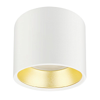 Купить Накладной светильник ЭРА OL8 GX53 WH/GD Б0048536 в Туле