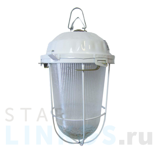 Купить с доставкой Уличный подвесной светильник TDM Electric НСП 02-200-022.01 SQ0310-0004 в Туле