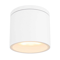 Купить Уличный светильник Globo Alcala 32063W в Туле