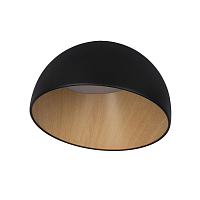 Купить Потолочный светодиодный светильник Loft IT Egg 10197/350 Black в Туле
